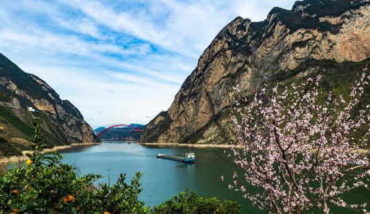湖北秭归：花艳橙香三峡美