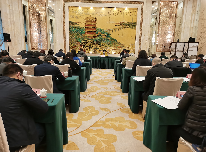 湖北省委统战部组织新的社会阶层代表人士传达学习 习近平总书记重要讲话和全国两会精神