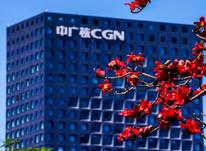 践行习近平法治思想，坚持运用法律语言，将股东管控意志依法合规延伸至境外，确保企业海外资产安全