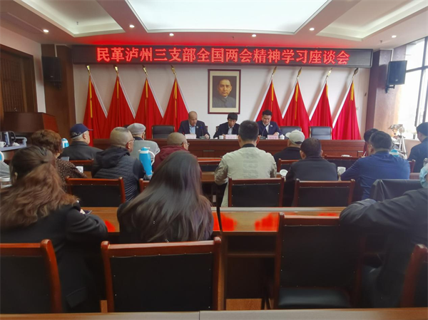 民革泸州市委会直属三支部学习传达全国两会精神