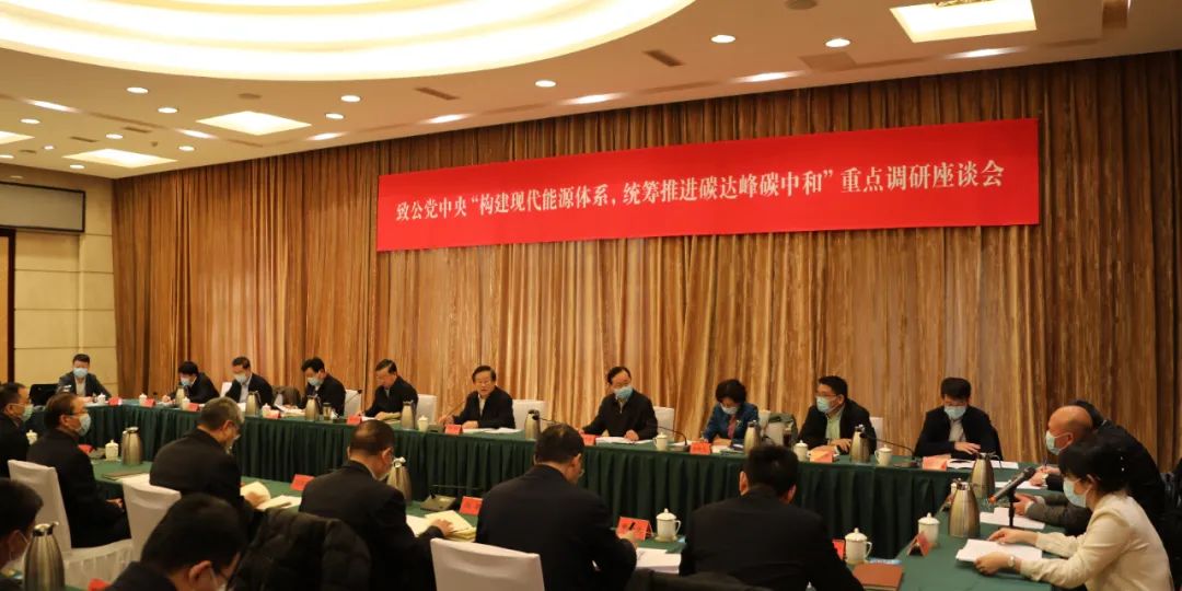 万钢蒋作君曹鸿鸣出席“构建现代能源体系，统筹推进碳达峰碳中和”重点调研座谈会
