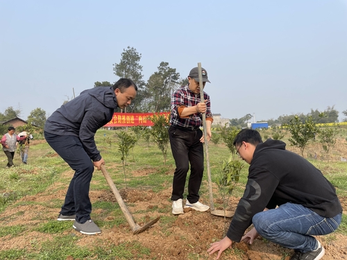 （渝站，统战图片新闻，植树节）(分离图)(998104)-20220408082723