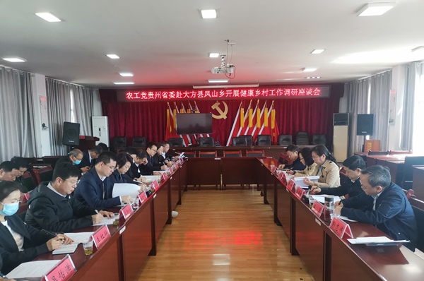 农工党贵州省委会赴大方县凤山乡开展健康乡村调研