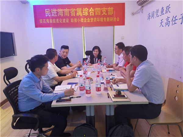 民进海南省直属综合四支部召开信息化建设专题研讨会