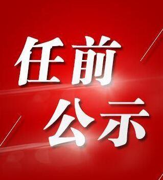 关于干部任前公示的公告