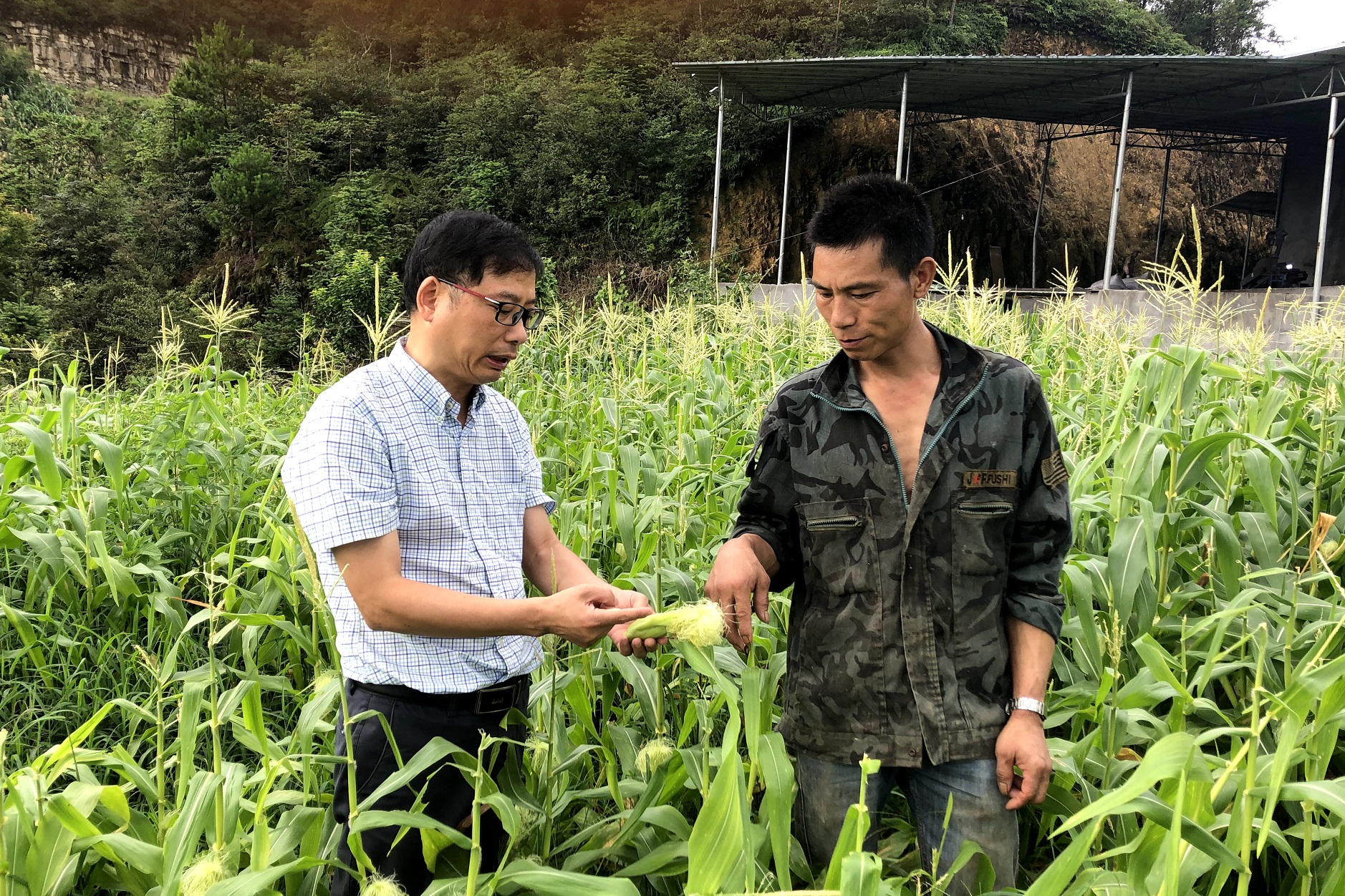 民进会员陈忠法：“全科医生”的“甜蜜事业”