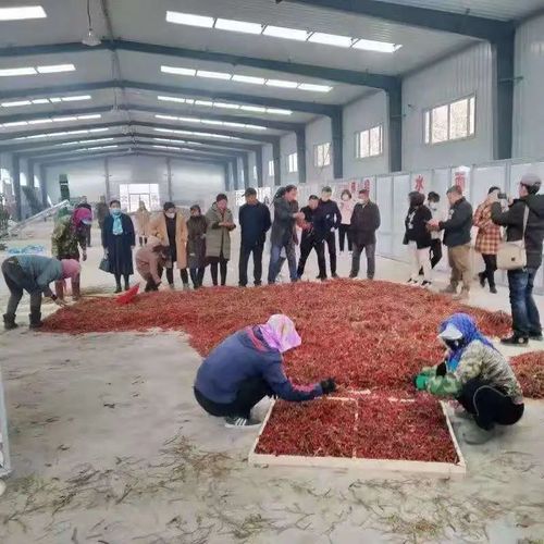 微信图片_20220430014311