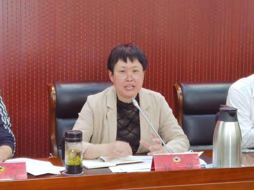 东城区政协党组副书记、副主席刘健汇报东城区政协贯彻落实中央、市委政协工作会议精神的进展情况