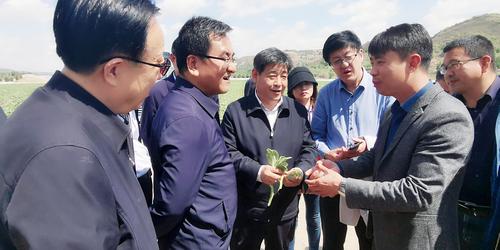 1日4版图片新闻 调研移民工作(1110360)-20220601141228_爱奇艺