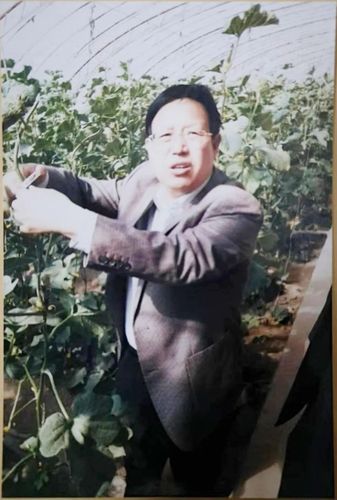 △2008年，赵永华在乌兰察布市察右前旗城关镇花儿村指导菜农在温室中使用二氧化碳施肥。