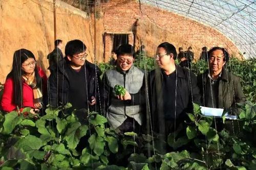 △2016年，赵永华带队赴赤峰市宁城县设施农业增施二氧化碳种植户调研，并向调研人员和种植户讲解二氧化碳气肥的作用。