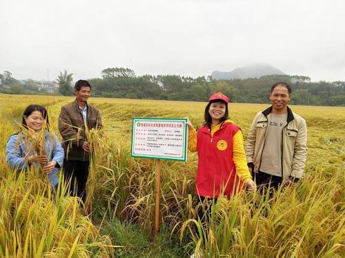 柳州市鱼峰区残联到里雍镇龙江村开展阳光助残基地项目验收工作。广西残联供图