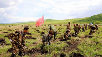 奋进新征程 建功新时代·伟大变革丨大兴安岭林区：不砍一棵树，照样能致富