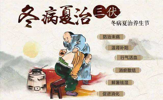 三伏养生，冬病夏治正当时