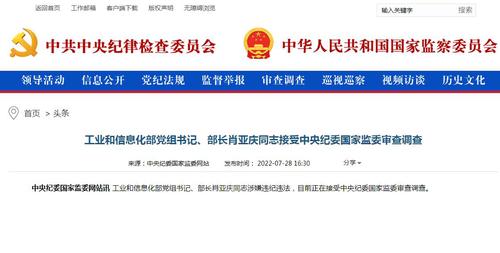 中央纪委国家监委网站截图