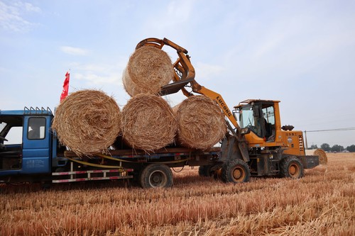 (经济)(4)秸秆回收变废为宝(1281670)-20220818100648 (经济)(4)秸秆回收变废为宝(1281670)-20220818100648