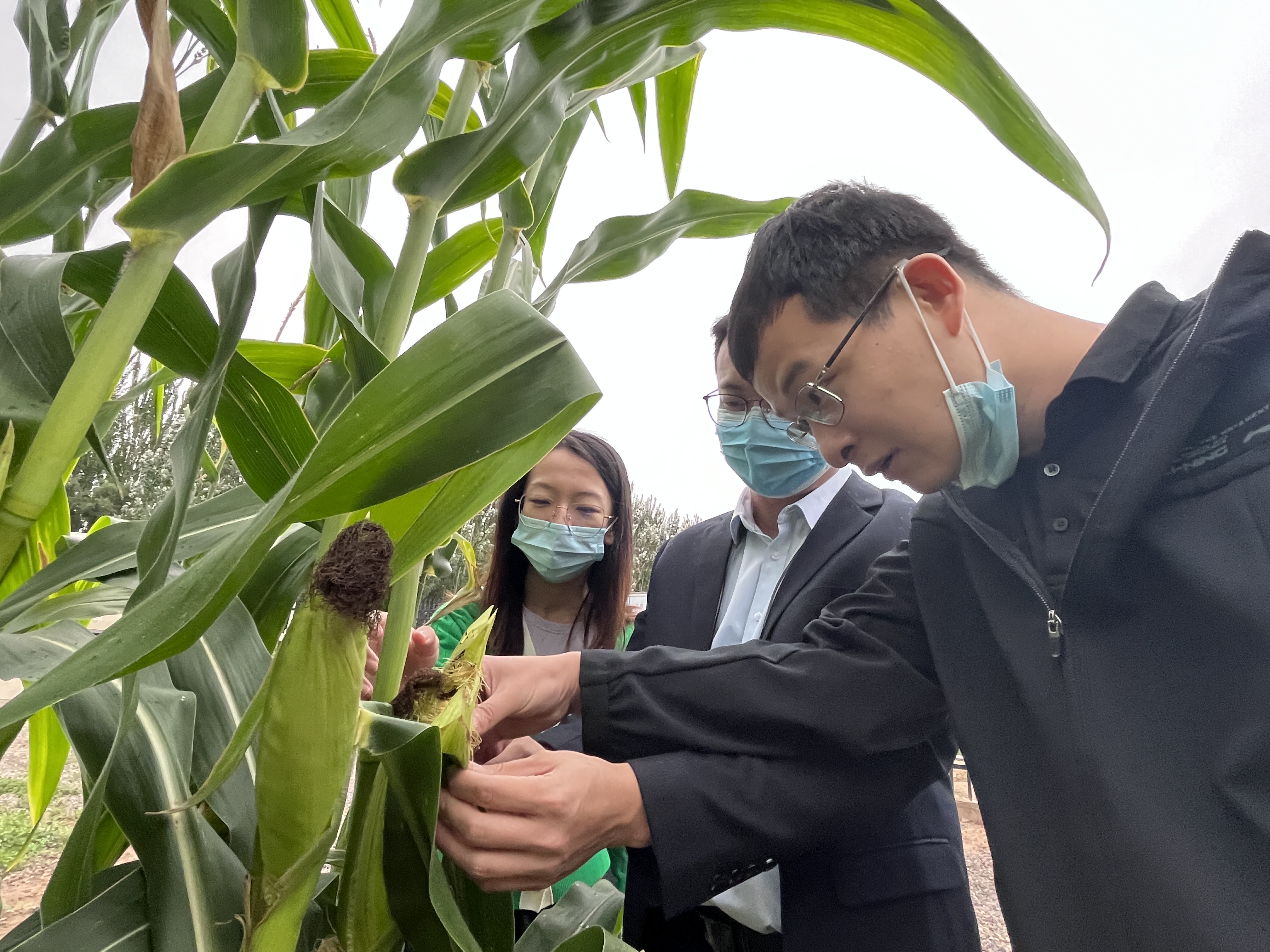 “农业气象科技小院”怎么建？“根在基层”青年调研团给出三点建议