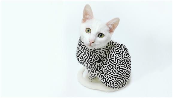 量子材料中首次发现数千原子纠缠