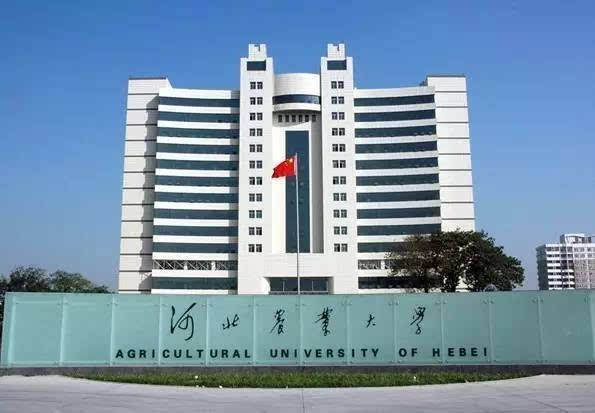 河北农业大学师生 把科技送到田间地头