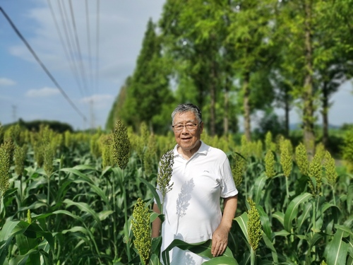 赵亚夫
