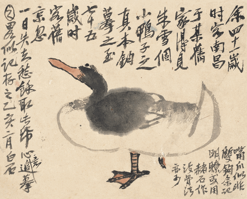 追摹八大山人鸭图-25×31cm-1935年-齐白石-北京画院藏