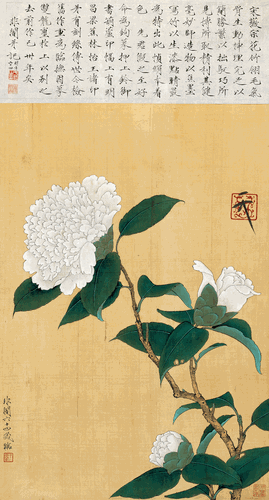 临赵佶白山茶-59×32cm-1953年-于非闇-北京画院藏