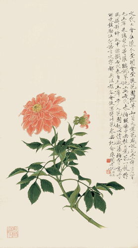 大丽花-98×54cm-1953年-于非闇-北京画院藏