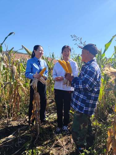 img_9645d2f4c43edd7f27c496273873e7e396_c