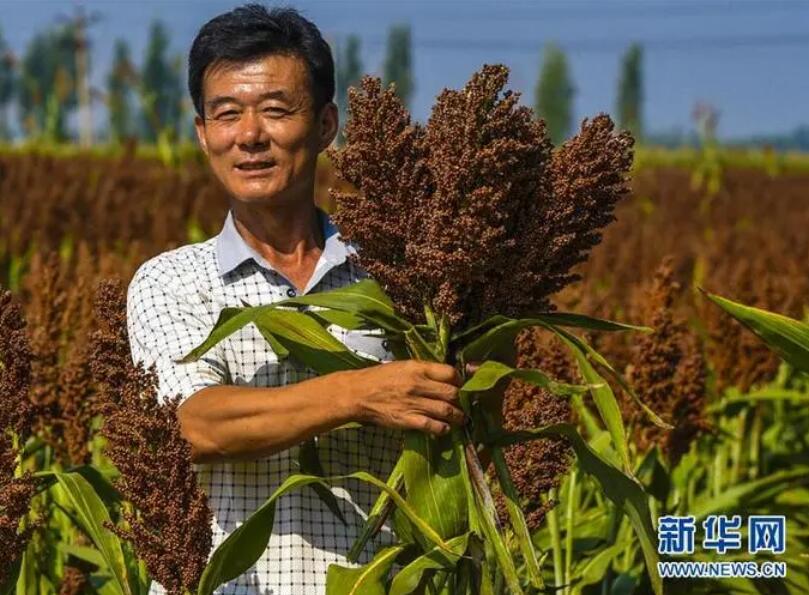 期待更多新农人耕耘希望的田野