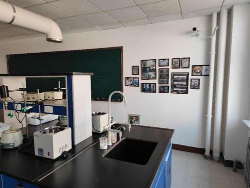 W020221108416667445904 W020221108416667445904