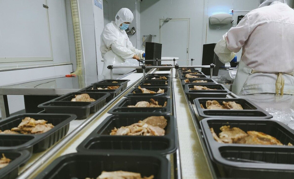 666(1511685)-20221128152537