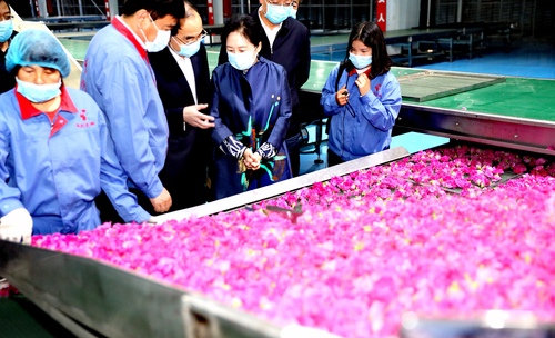（讲好中国式商量采访活动）一段“玫好”的(1523240)-20221130074447
