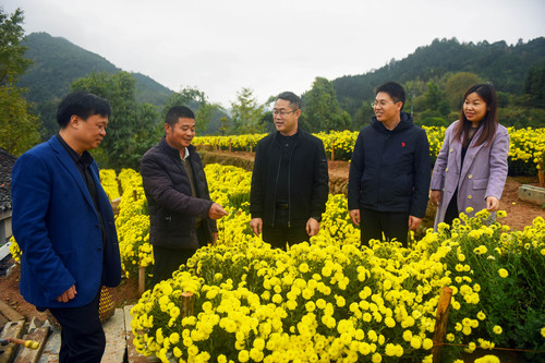调研农村产业结构调整与新型农业发展(1528487)-20221205134028