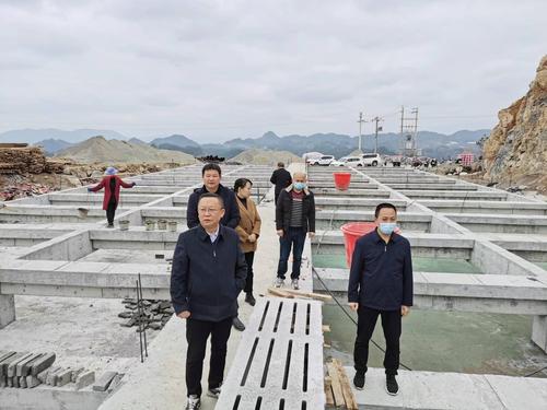 5日4版 建言项目工程建设(1529631)-20221205170306_爱奇艺