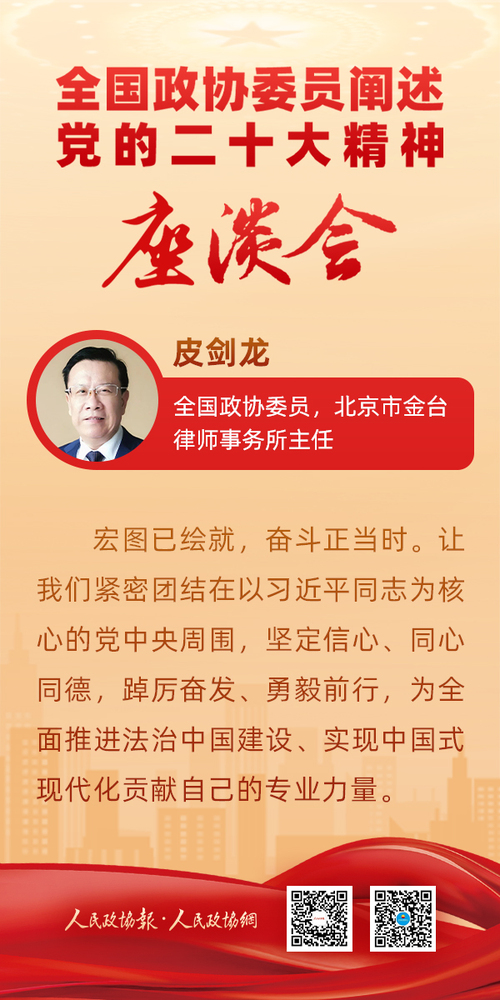 阐述二十大精神-皮剑龙