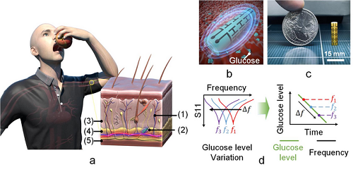 无需刺破手指即可检测血糖水平