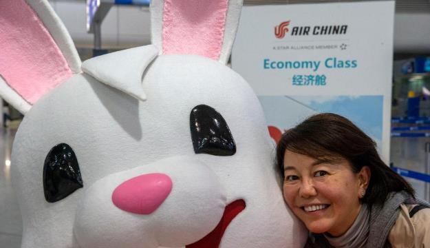希腊机场：兔子送吉祥