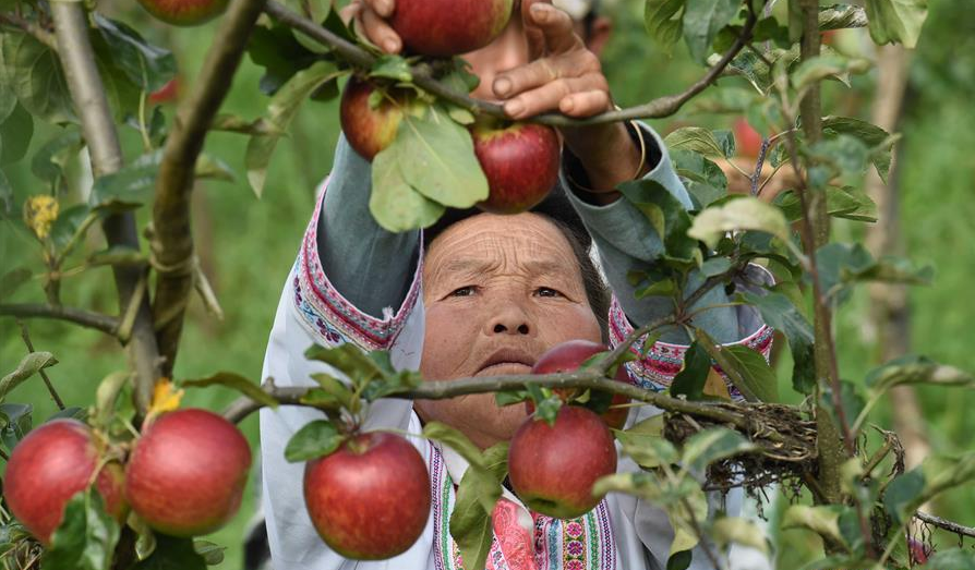 2022年脱贫人口人均纯收入同比增14.3%