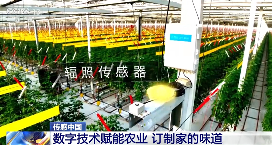 团圆饭的味道有了科技支撑