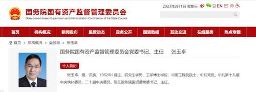 国资委网站截图
