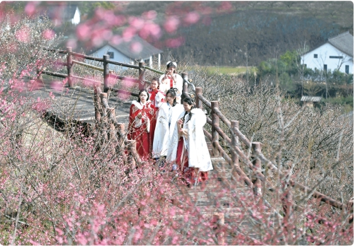 浙江湖州：梅花枝头俏