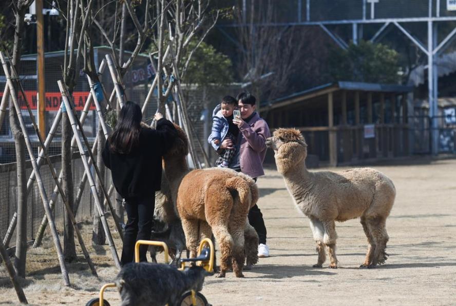 “矿坑经济”助力特色乡村旅游