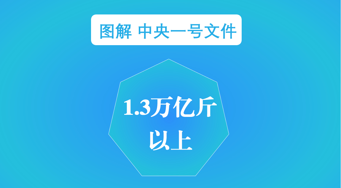 数解中央一号文件