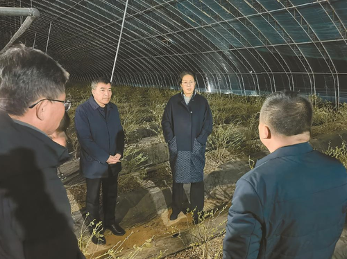 微信截图_20230309103537