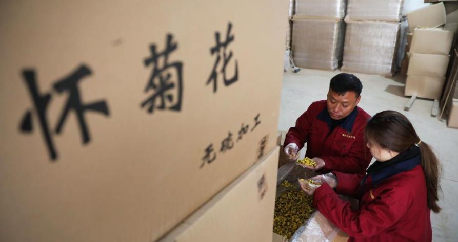 河南武陟：“土特产”俏市场