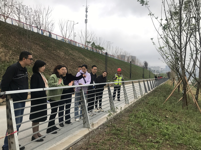 重庆大渡口民盟：长江生态环保民主监督志愿者在行动