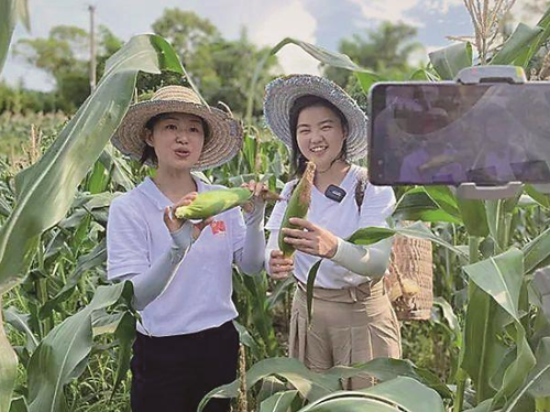 微信截图_20230418140621