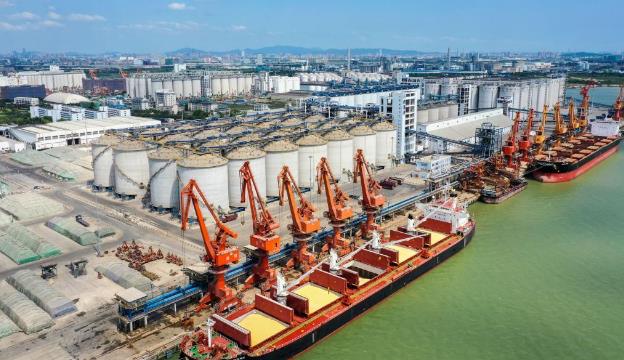 我国从南非进口的首船饲料玉米抵港