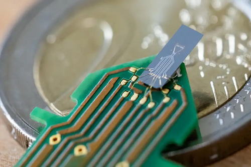 电子耳蜗可像人耳一样适应噪音