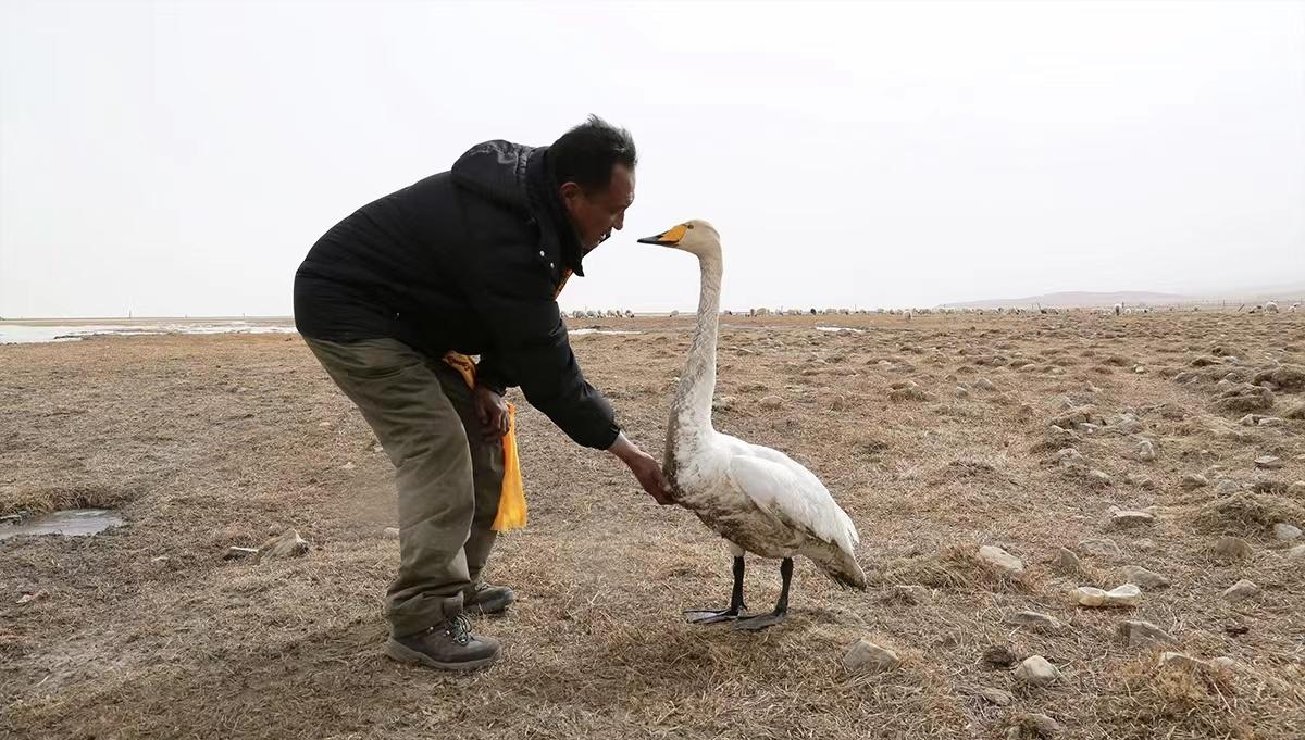 “环保愚公”南加：为了记忆中美丽的故乡